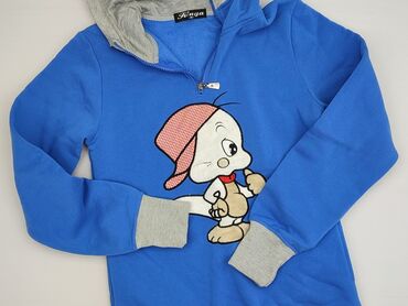 Women's Clothing: Women`s hoodie, size M (EU 38)