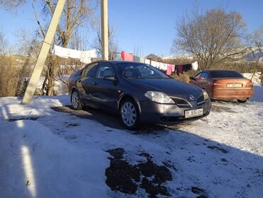 Nissan: Nissan Primera: 2004 г., 2 л, Механика, Бензин, Хэтчбэк