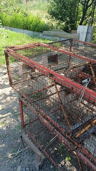 куры: Клетка для кроликов и кур - Конструкция из металлического профиля и — 2