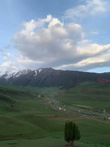 тур по кыргызстану: Кумысолечение. В ущелье Чункурчак. Коттедж с номером с видом на горы