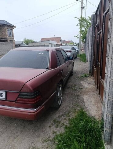 Mercedes-Benz: Mercedes-Benz W124: 1991 г., 2.3 л, Механика, Бензин, Седан