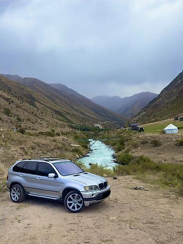 BMW: BMW X5: 2002 г., 4.6 л, Автомат, Бензин, Кроссовер — 7