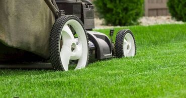 Другие услуги: Сделали ландшафтный дизайн? Нужно поддерживать его в идеальном — 4