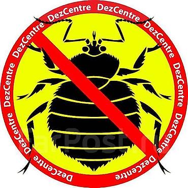 Дезинфекция, дезинсекция: Дезинфекция, дезинсекция, | Блохи, Вирусы, микробы, Клопы, | Кафе, магазины, Офисы, Подвал, погреб at lalafo.kg — 17 Дезинфекция, дезинсекция: Дезинфекция, дезинсекция, | Блохи, Вирусы, микробы, Клопы, | Кафе, магазины, Офисы, Подвал, погреб — 17