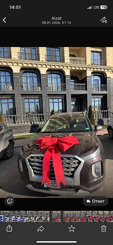 Декоративные ленты и банты: Сдается в аренду Большой праздничный бант на автомобиль цвета — 12