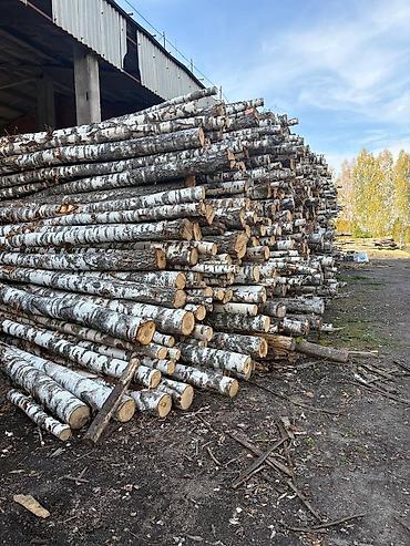 древесный уголь для шашлыка: Древесный уголь, Березовый, В розницу — 6