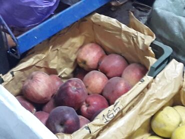 чернозем в бишкеке доставка: Продаётся яблоки купите