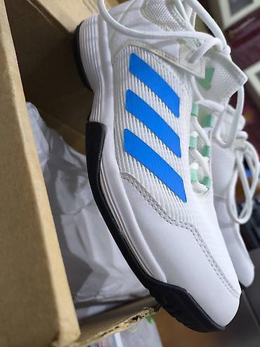 adidas krasovka: Цвет - Белый Кроссовки, Adidas, Размер: 38, Унисекс — 7