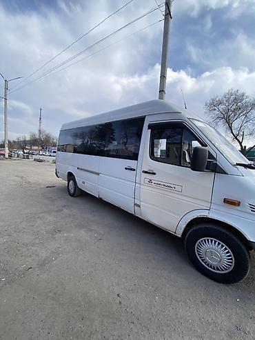 Mercedes-Benz: Mercedes-Benz Спринтер: 2003 г., 2.2 л, Дизель, Бус — 3