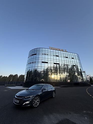 matiz 2013: Chevrolet Malibu: 2019 г., 2 л, Автомат, Бензин, Седан — 6