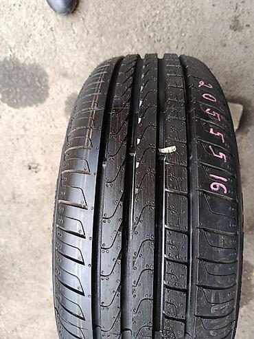 roma: Летняя шина Pirelli 205/55 R16 91W. 1 шт - Размер: 205/55 R16 - — 1