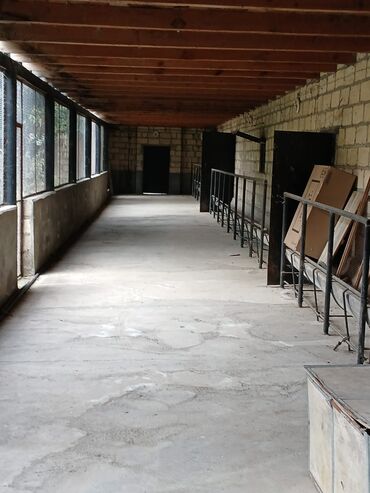 Kənd təsərüfatı heyvanları üçün digər mallar: Salam Arenda veya satmaq Heyvan saxlanılan təsərrüfat/qoyun‑malqar — 11