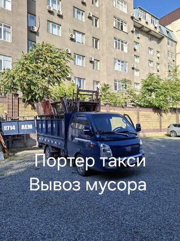 декоративный кролик: Портер такси портер такси портер такси портер такси портер такси