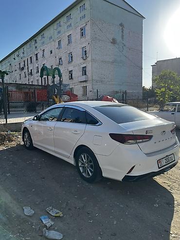 12 9: Hyundai Sonata: 2020 г., 2 л, Автомат, Бензин, Седан — 2
