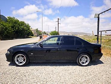 bmw 525 d: BMW 5 series: 2.5 l | 2003 il Sedan — 4