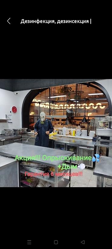 Дезинфекция, дезинсекция: Дезинфекция, дезинсекция, | Клопы, Блохи, Тараканы, | Транспорт, Офисы, Квартиры at lalafo.kg — 9 Дезинфекция, дезинсекция: Дезинфекция, дезинсекция, | Клопы, Блохи, Тараканы, | Транспорт, Офисы, Квартиры — 9