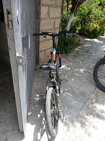 grand bicycle: Dağ/şosse üçün universal velosiped - Brend nişanları: Adidas temalı — 2