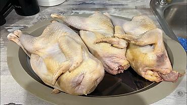 курен: КУРИЦА БУЛЬОННАЯ ДОМАШНЯЯ РУЧНОЙ ОЩИПКИ ПРИ ЗАКАЗЕ КУРИЦЫ 1КИЛЛОГРАМ — 7