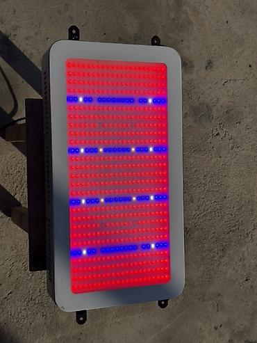 lit energi: LED-панель для фотобиомодуляции/светотерапии Описание: - Мощная — 3