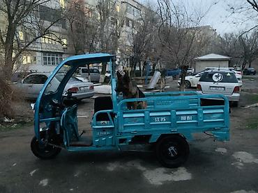 мото зонтик: Легкий грузовик, Стандарт, До 1 т, Б/у — 2