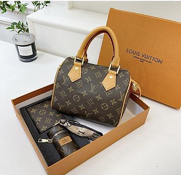luis vitton: Набор аксессуаров Louis Vuitton Monogram Состав комплекта: - — 1