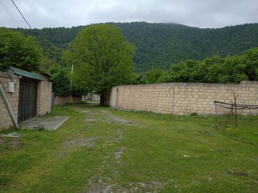 аренда и продажа недвижимости: 30 sot, Barter mümkündür, Kupça (Çıxarış)
