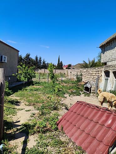 9 mikrarayon: 9 sot, Tikinti, Makler, Kupça (Çıxarış) — 4