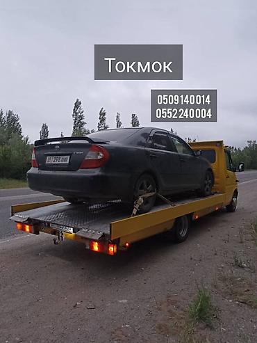 247: С лебедкой, С манипулятором, С частичной погрузкой — 1