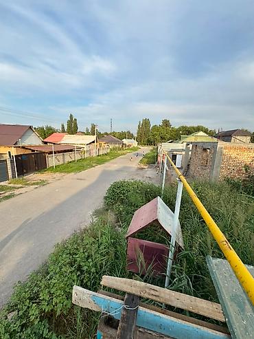 Жер тилкелери: 4 соток, Кызыл китеп — 3