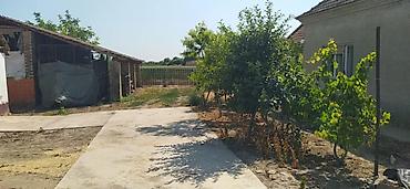 Kuće na prodaju: Kuća, Majdan (Novi Kneževac), 110 m2 Kuća u Majdanu, severnobanatski — 6