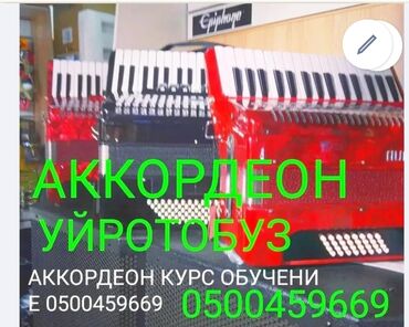 ремень для аккордеона: Аккордеон Обучение