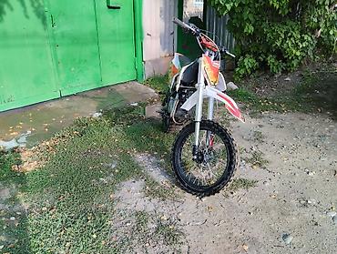 Мотоциклы: Питбайк 125 куб. см, Бензин, Взрослый, Б/у — 5