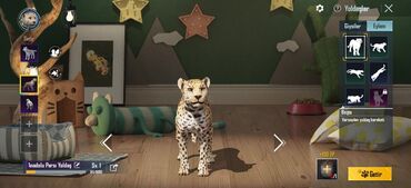 Digər: PUBG Mobile oyun hesabı - Platforma: PUBG Mobile (Global) - buz 4 sv — 20