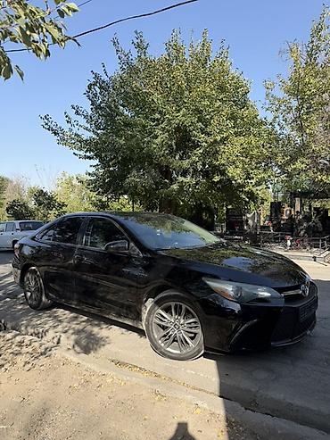 camry 55 exclusive: Toyota Camry: 2015 г., 2.5 л, Автомат, Бензин, Седан — 2