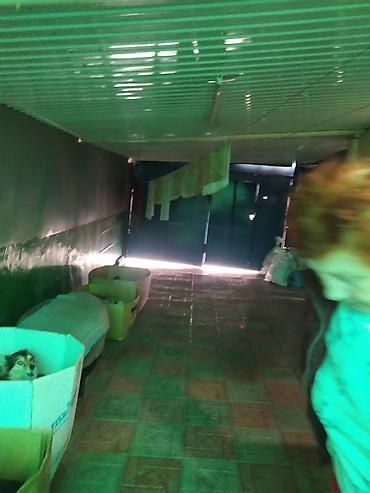 Дома: Продаем дом в районе Турецкого лицея ул. Хмельницкая/ Тульская в — 4