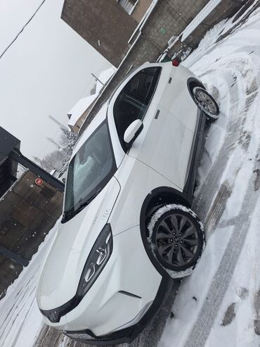 Weltmeister: Weltmeister EX5, 2021 г. — 7