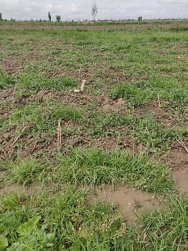 Куплю земельный участок: 10 соток — 9