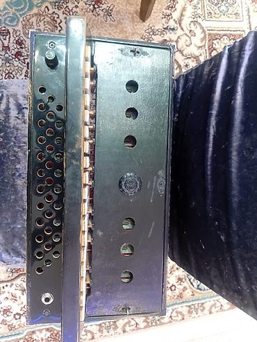 Qarmonlar: Qarmon, Akustik — 7