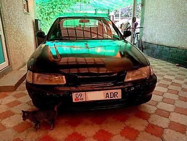 авто крепеж: Honda Accord: 1994 г., 2 л, Механика, Бензин, Седан — 7
