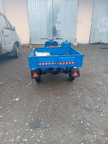 jitkis tormuz: Yükdaşıma üçün üçtəkərli motosiklet (trisikl) - Rəng: mavi - Arxa — 4