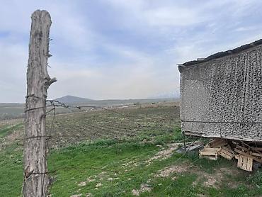 Продажа участков: 80 соток, Для сельского хозяйства — 19