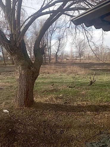 Продажа домов: Дом, 15 м², 5 комнат, Собственник, Старый ремонт — 3