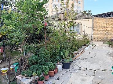 a frame ev satilir: 6 sot, Biznes üçün, Mülkiyyətçi, Kupça (Çıxarış) — 8