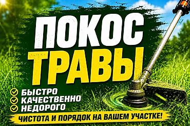 Уборка территории: Уборка территории, Уборка двора и сада — 1