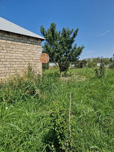 Bağ evlərinin satışı: Xaçmaz, 160 kv. m, 3 otaqlı, Su, İnternet, Qaz — 10