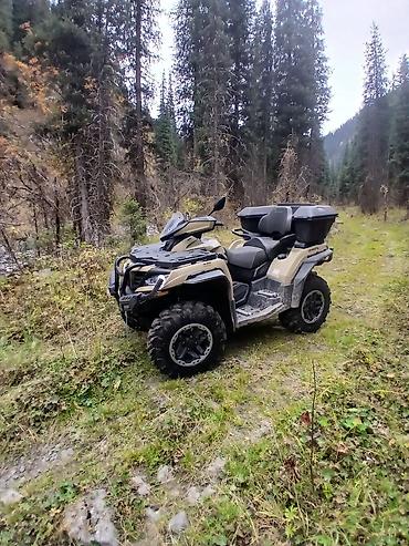 кудайберген шины: Квадроцикл CFMoto, Бензин, 850 куб. см, Чоңдор үчүн — 3