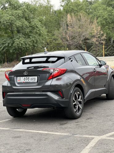 тойота авансер: Toyota C-HR: 2018 г., 2 л, Вариатор, Бензин, Кроссовер