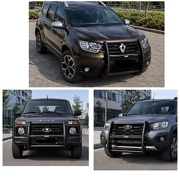 duster: Кенгурятник Renault, Новый, Бесплатная доставка — 1