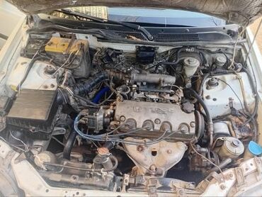 коробка на цивик: Honda Civic Ferio, правый руль, белый седан. Кузов: - 4 двери