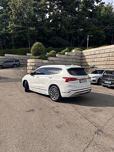 купить дверные ручки: Hyundai Santa Fe: 2021 г., 1.6 л, Автомат, Гибрид, Кроссовер — 3